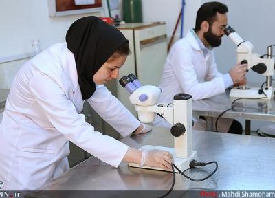 جمعیت شبکه آزمایشگاهی معاونت علمی به 688 مجموعه رسید