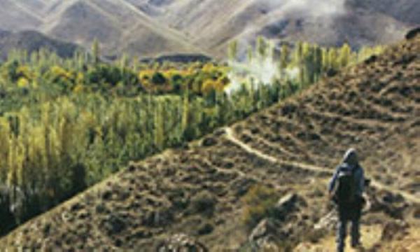 پاییز در سه ساعت پاییز در سه ساعت