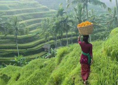 بهترین زمان سفر به بالی