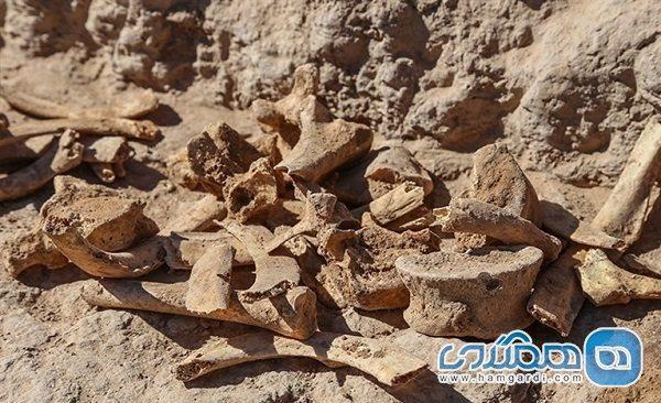 شروع دهمین فصل کاوشهای باستان شناسی در تپه ریوی آغاز دهمین فصل کاوشهای باستان شناسی در تپه ریوی
