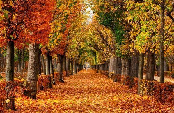 فیلمی از تغییر فصل در مکانی یکسان فیلمی از تغییر فصل در مکانی یکسان
