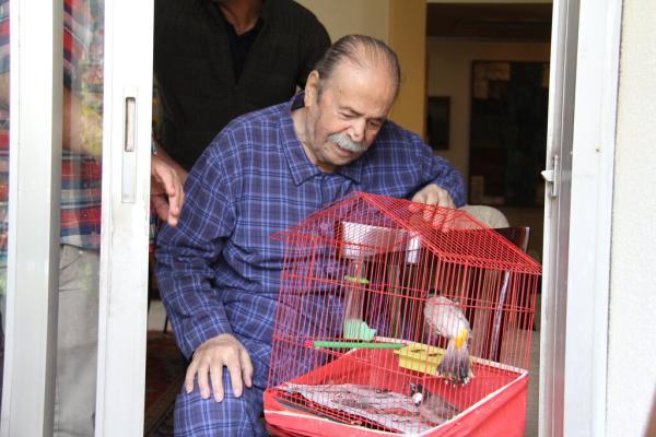 پرنده ها پس از آزاد شدن، از خانه محمدعلی کشاورز بیرون نمی پرنده ها پس از آزاد شدن، از خانه محمدعلی کشاورز بیرون نمی رفتند!
