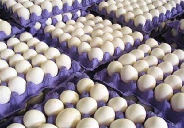 قیمت هر شانه 30 عددی تخم مرغ در میادین و بازار ، اعلام قیمت قیمت هر شانه 30 عددی تخم مرغ در میادین و بازار ، اعلام قیمت نو تا هفته آینده